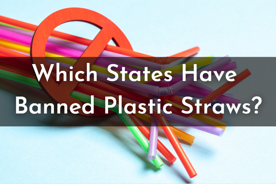 What States Have Banned Plastic Straws? imPASTAstraws