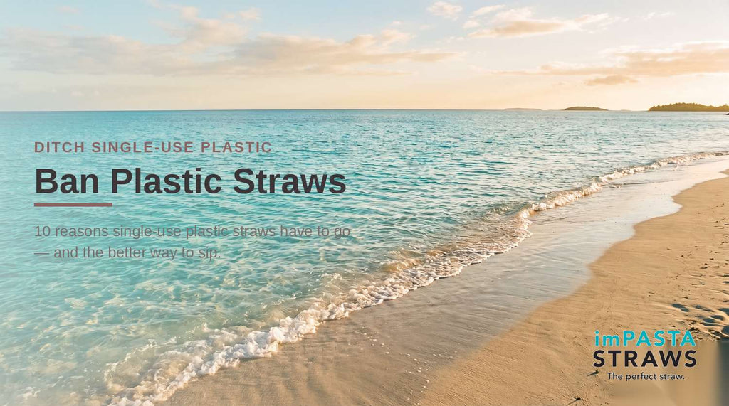 10 Reasons Why Plastic Straws Should Be Banned