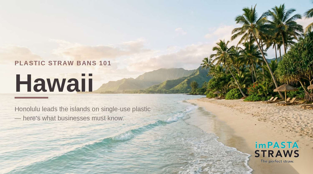 Hawaii Plastic Straw Ban