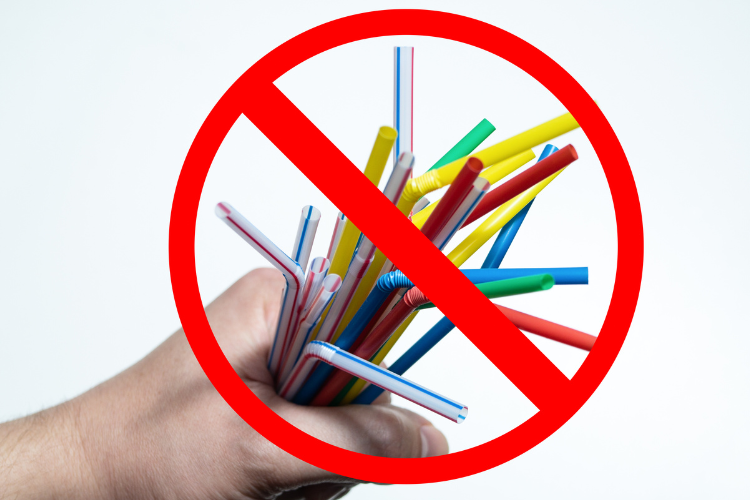 Pros and Cons of Plastic Straw Ban imPASTAstraws